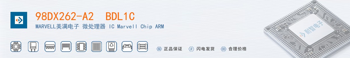 98DX262-A2  BDL1C������